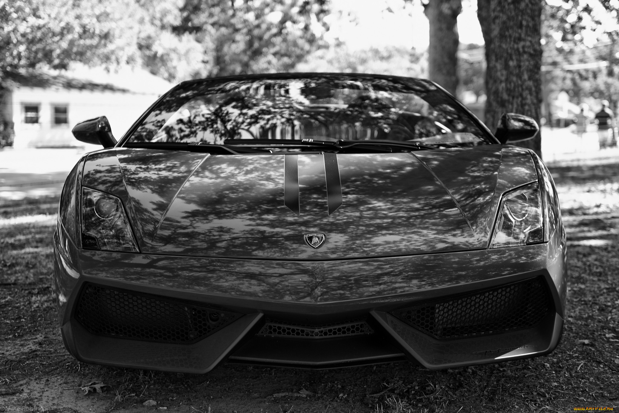 lambordgini, , lamborghini